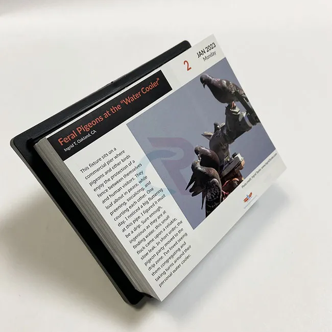 Paano Maisasama ang Mga Custom na Disenyo sa Mga Napunit na Pahina-isang-araw na Kalendaryo?